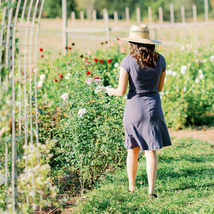 Organic Soy Simple Dress