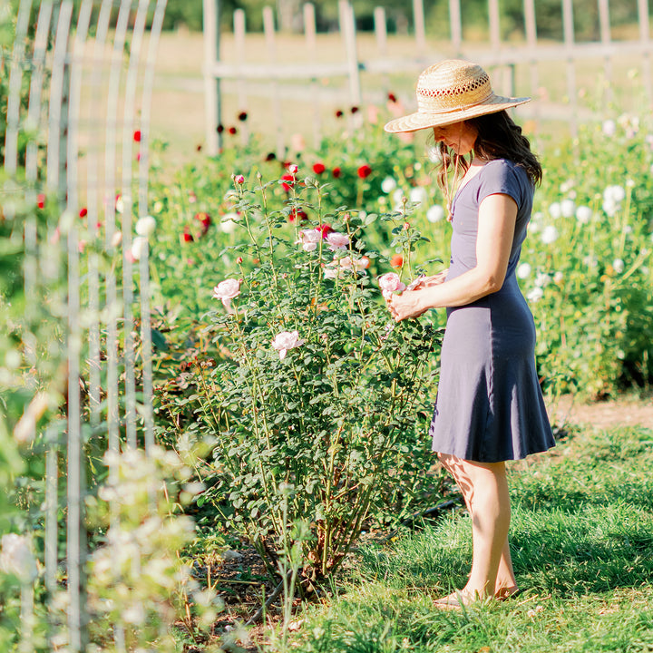 Organic Soy Simple Dress