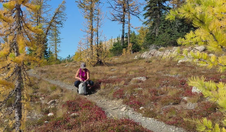 Merino Wool Trail Breaker Hoodie - Women